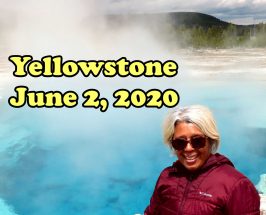 Yellowstone 2020