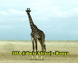 DIA (dis is Africa) Kenya